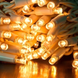 Гирлянда RD-7050 100LED УЛИЦА Провод-Белый, Цвет ламп-Тёплая