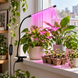 Фитолампа / фитосветильник GrowLight Flex 26 см для растений и рассады, 21 LED, таймер 3/9/12 ч, USB, на клипсе, Черный
