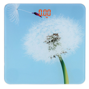 Весы напольные DOMOTEC MS-2019 180кг ART:5381